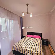 350 ლარი ღამე, ბინა დღიურად