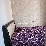 50 ლარი ღამე, ბინა დღიურად