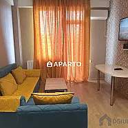 60 ლარი ღამე, ბინა დღიურად