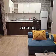 60 ლარი ღამე, ბინა დღიურად
