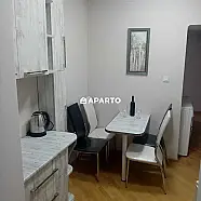 60 ლარი ღამე, ბინა დღიურად
