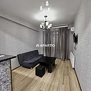 80 ლარი ღამე, ბინა დღიურად