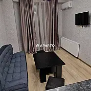 80 ლარი ღამე, ბინა დღიურად
