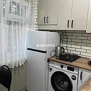 70 ლარი ღამე, ბინა დღიურად