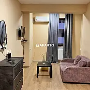 70 ლარი ღამე, ბინა დღიურად