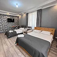 100 ლარი ღამე, ბინა დღიურად