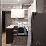 60 ლარი ღამე, ბინა დღიურად
