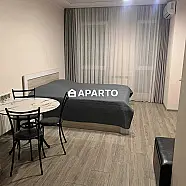 60 ლარი ღამე, ბინა დღიურად
