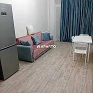 80 ლარი ღამე, ბინა დღიურად