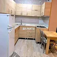 50 ლარი ღამე, ბინა დღიურად