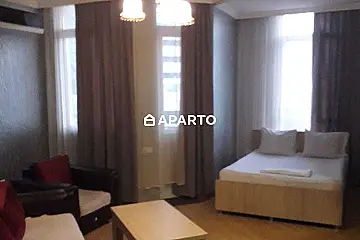100 ლარი ღამე, ბინა დღიურად