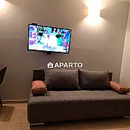 60 ლარი ღამე, ბინა დღიურად