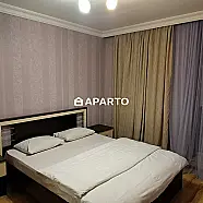 80 ლარი ღამე, ბინა დღიურად
