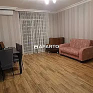 80 ლარი ღამე, ბინა დღიურად