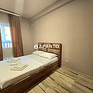 120 ლარი ღამე, ბინა დღიურად