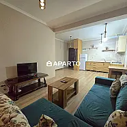 60 ლარი ღამე, ბინა დღიურად