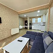 60 ლარი ღამე, ბინა დღიურად