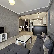 60 ლარი ღამე, ბინა დღიურად