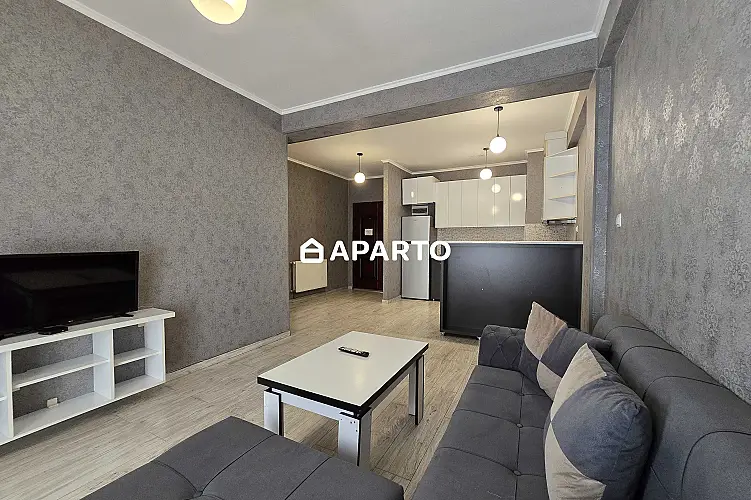 60 ლარი ღამე, ბინა დღიურად