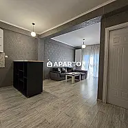 60 ლარი ღამე, ბინა დღიურად