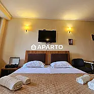 65 ლარი ღამე, ბინა დღიურად
