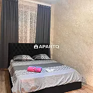 60 ლარი ღამე, ბინა დღიურად