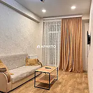 60 ლარი ღამე, ბინა დღიურად
