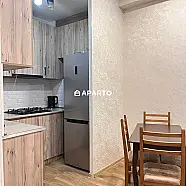 60 ლარი ღამე, ბინა დღიურად