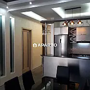 160 ლარი ღამე, ბინა დღიურად