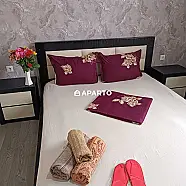 30 ლარი ღამე, ბინა დღიურად