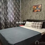 60 ლარი ღამე, ბინა დღიურად