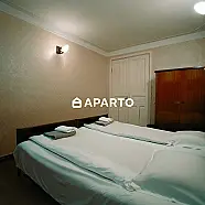 30 ლარი ღამე, ბინა დღიურად