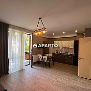 140 ლარი ღამე, ბინა დღიურად