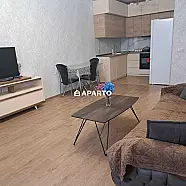 80 ლარი ღამე, ბინა დღიურად