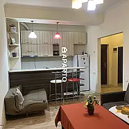 70 ლარი ღამე, ბინა დღიურად
