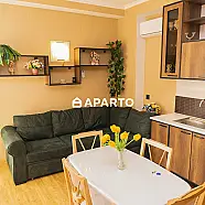 90 ლარი ღამე, ბინა დღიურად