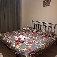 50 ლარი ღამე, ბინა დღიურად