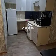 50 ლარი ღამე, ბინა დღიურად