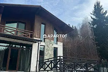 250 ლარი ღამე, ბინა დღიურად
