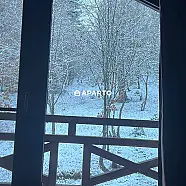 250 ლარი ღამე, ბინა დღიურად
