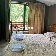 250 ლარი ღამე, ბინა დღიურად