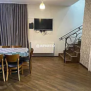 250 ლარი ღამე, ბინა დღიურად