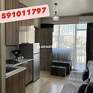 30 ლარი ღამე, ბინა დღიურად