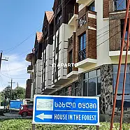 150 ლარი ღამე, ბინა დღიურად