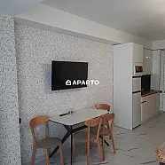 150 ლარი ღამე, ბინა დღიურად