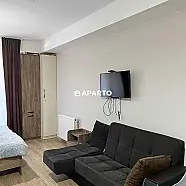 200 ლარი ღამე, ბინა დღიურად