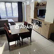 100 ლარი ღამე, ბინა დღიურად