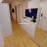 119 ლარი ღამე, ბინა დღიურად