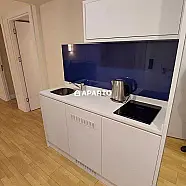 119 ლარი ღამე, ბინა დღიურად