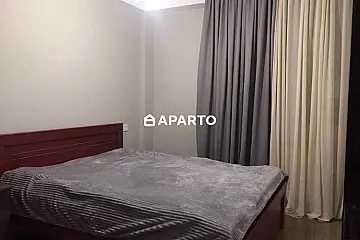 50 ლარი ღამე, ბინა დღიურად